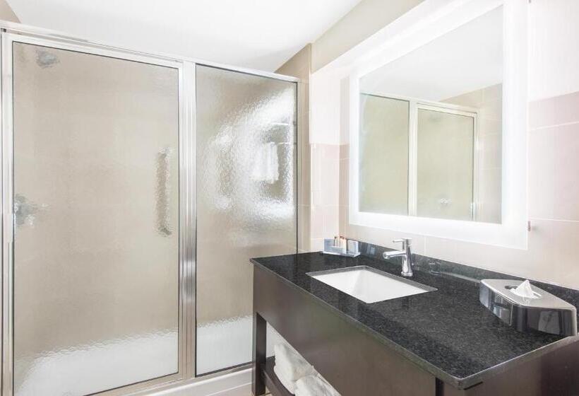장애인을 위한 킹사이즈 침대 스탠다드 룸, Wingate By Wyndham Niagara Falls