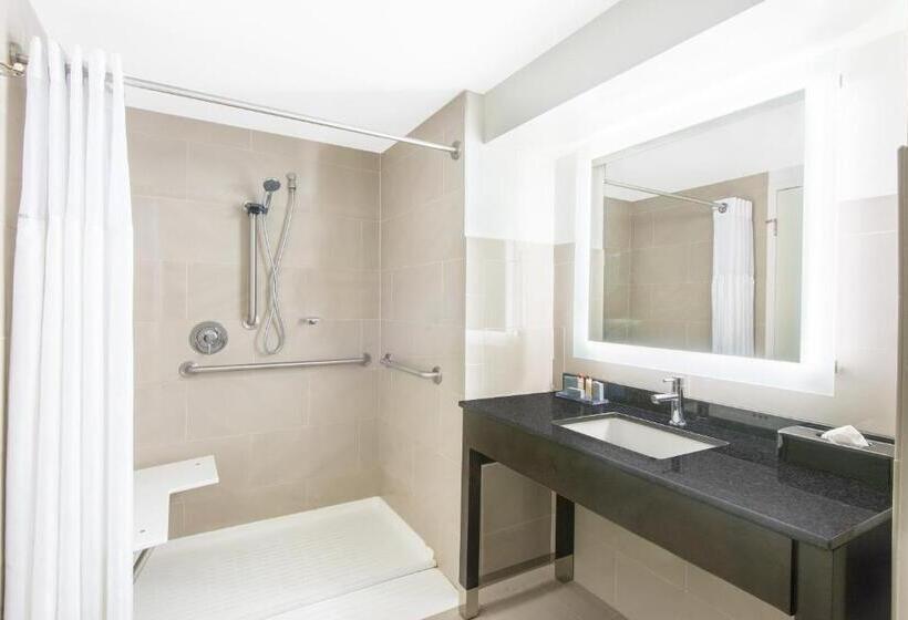 חדר סטנדרט, מיטת קינג, מותאם לאדם עם מוגבלויות, Wingate By Wyndham Niagara Falls