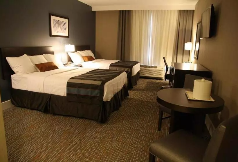 障害者適応デラックスルーム, Wingate By Wyndham Niagara Falls