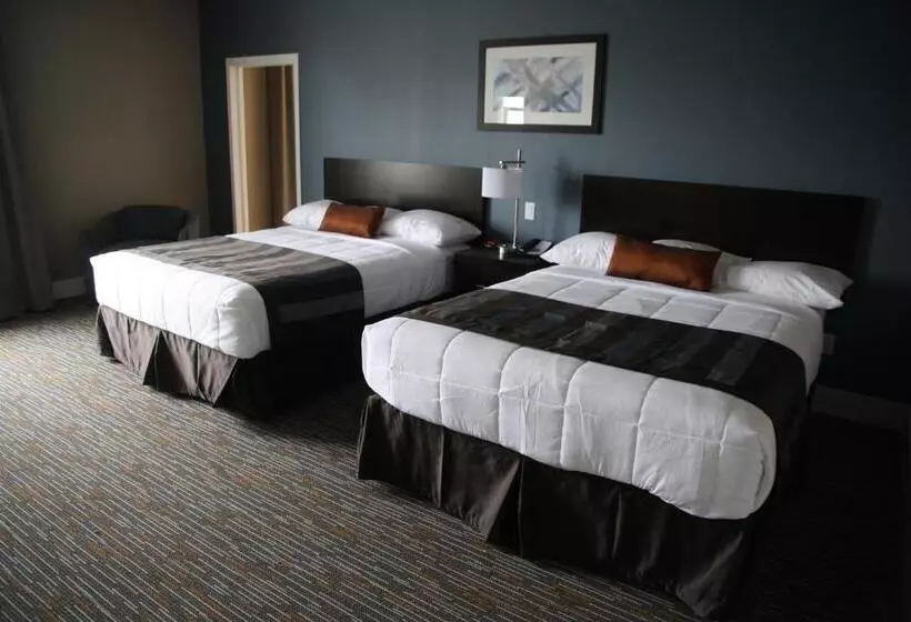 スイート（家族用）, Wingate By Wyndham Niagara Falls