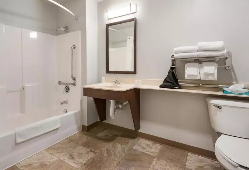 身障者適用スタンダードルーム, My Place Hotel Missoula, Mt