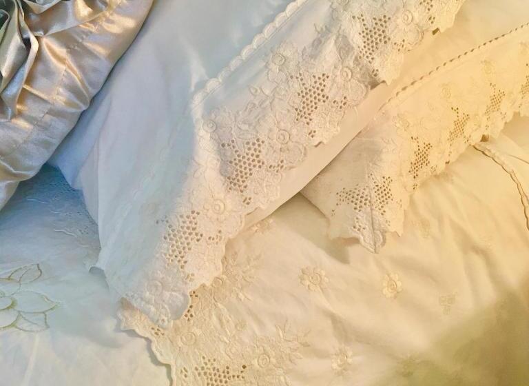 جناح مزود بجاكوزى, Apolo Xvi