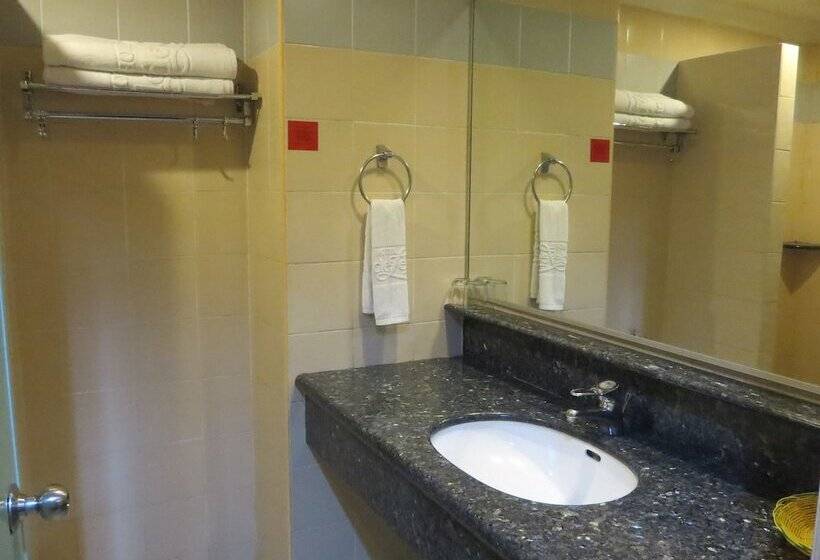 带大床的豪华间, Deleeton