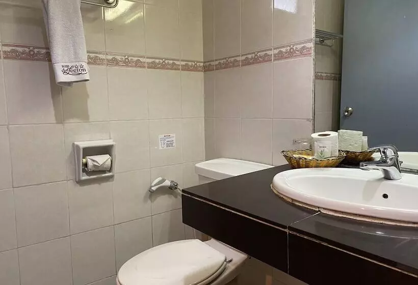 اتاق استاندارد یک نفره, Deleeton