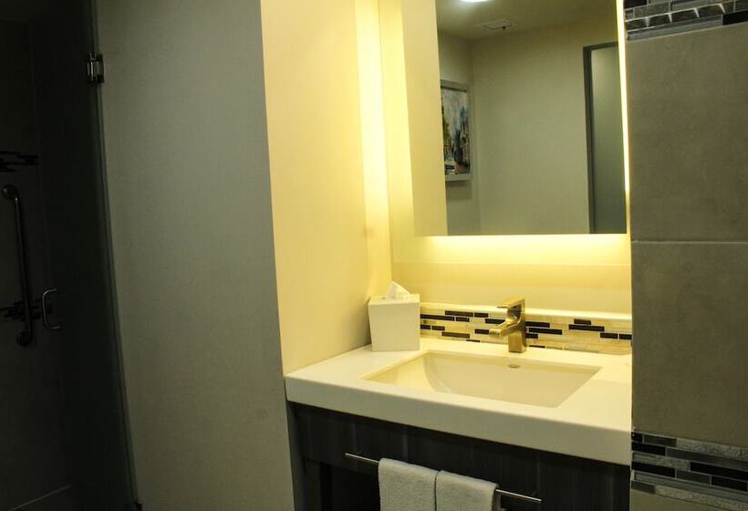 اتاق استاندارد با تخت دوبل, Hampton Inn & Suites By Hilton Aguascalientes Airport