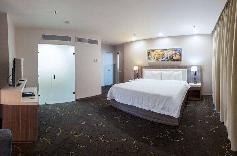 سوییت, Hampton Inn & Suites By Hilton Aguascalientes Airport