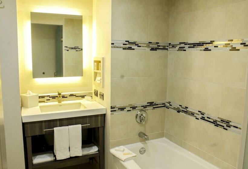 سوییت, Hampton Inn & Suites By Hilton Aguascalientes Airport