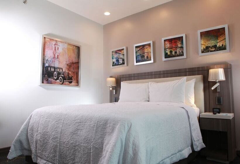 اتاق استاندارد برای معلولان, Hampton Inn & Suites By Hilton Aguascalientes Airport