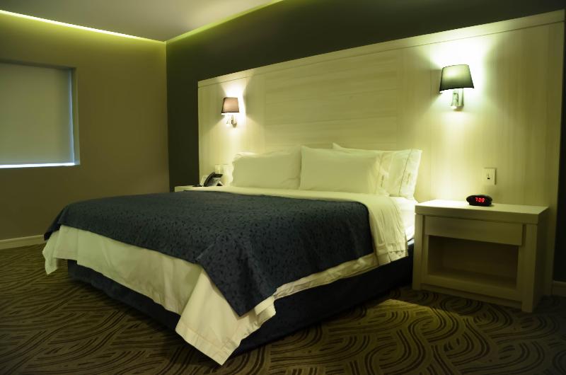 スタンダードルーム, Holiday Inn Express Pachuca, An Ihg
