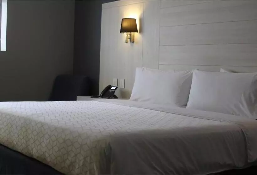キングサイズベッドのスタンダードルーム, Holiday Inn Express Pachuca, An Ihg