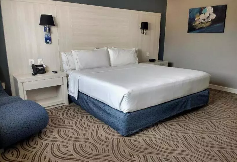 キングサイズベッドのスタンダードルーム, Holiday Inn Express Pachuca, An Ihg