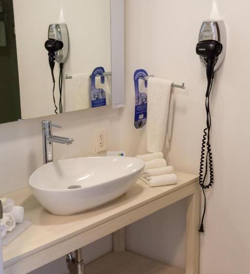 キングサイズベッドのスタンダードルーム, Holiday Inn Express Pachuca, An Ihg