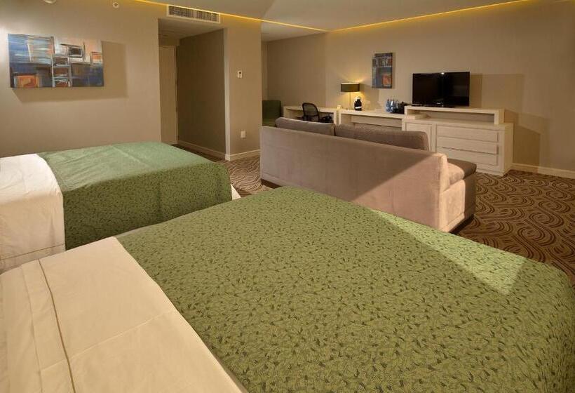 スタンダードルーム, Holiday Inn Express Pachuca, An Ihg