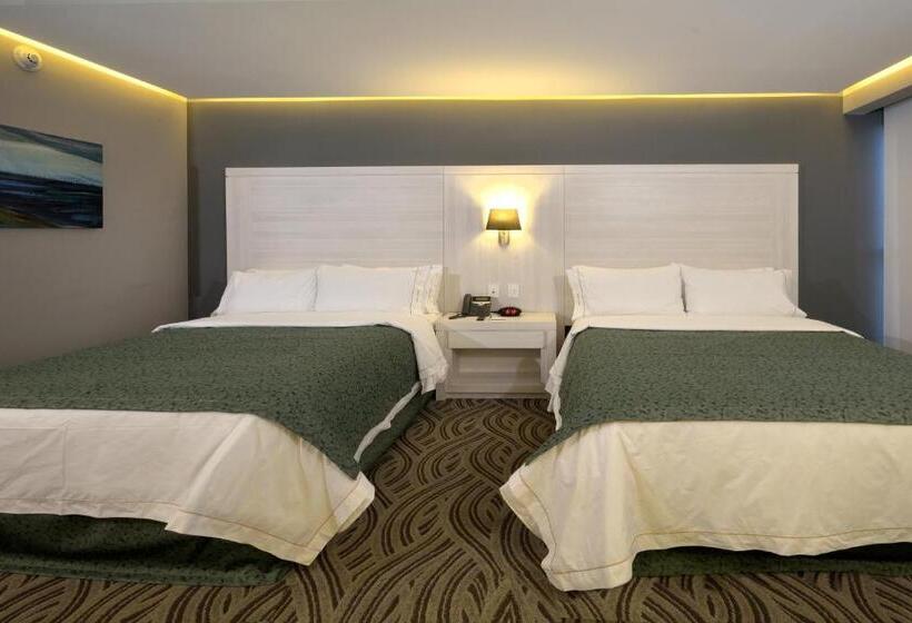 スタンダードルーム, Holiday Inn Express Pachuca, An Ihg