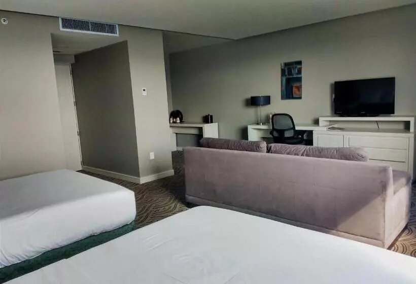 ２ベッドスイートルーム, Holiday Inn Express Pachuca, An Ihg