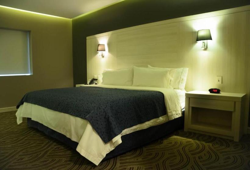 身障者適用キングサイズベッドルーム, Holiday Inn Express Pachuca, An Ihg