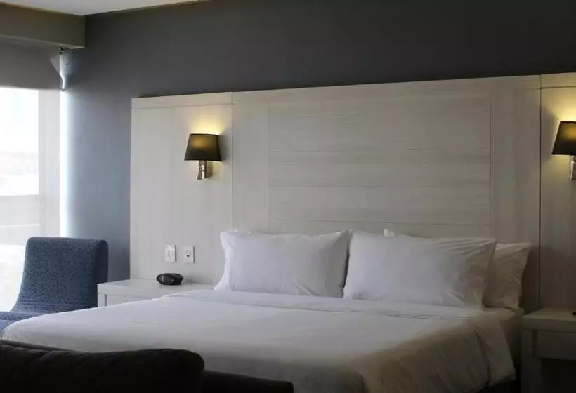 景色の見えるスイートルーム, Holiday Inn Express Pachuca, An Ihg