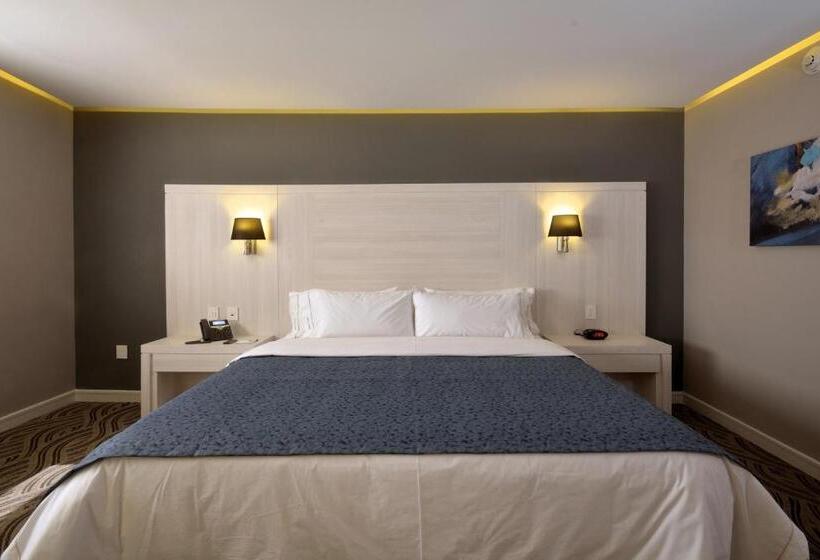 キングサイズベッドのスタンダードルーム, Holiday Inn Express Pachuca, An Ihg