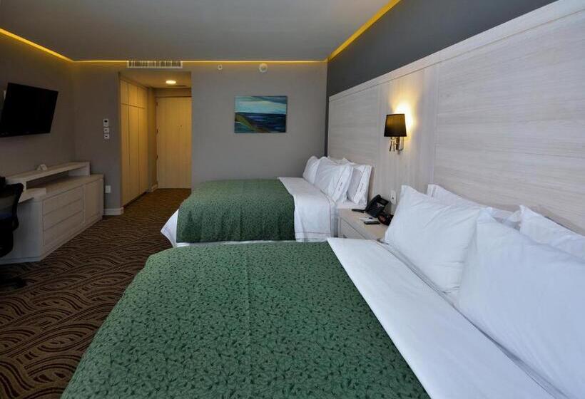 スタンダードルーム, Holiday Inn Express Pachuca, An Ihg