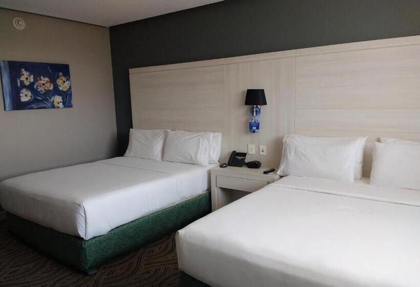 スタンダードルーム, Holiday Inn Express Pachuca, An Ihg