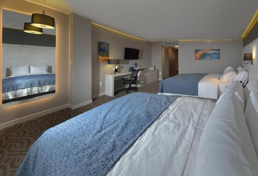 スタンダードルーム, Holiday Inn Express Pachuca, An Ihg