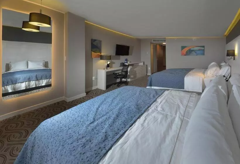 スタンダードルーム, Holiday Inn Express Pachuca, An Ihg