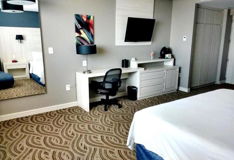 スタンダードルーム, Holiday Inn Express Pachuca, An Ihg