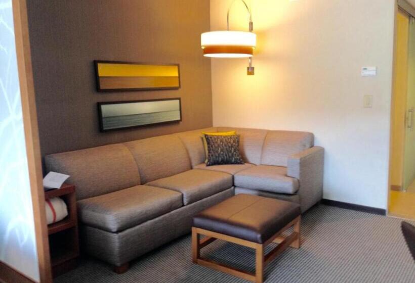 Студио Стандарт Кровать Кинг, Hyatt Place Columbia/downtown/the Vista