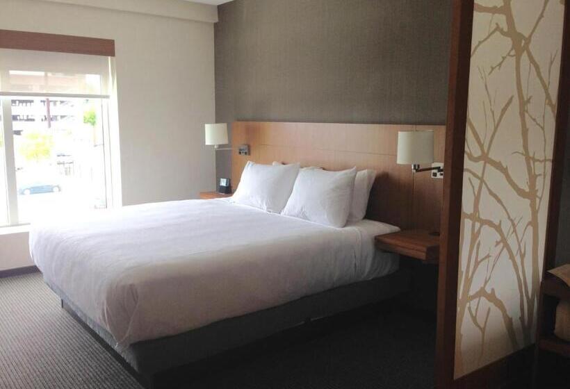 Студио Стандарт Кровать Кинг, Hyatt Place Columbia/downtown/the Vista