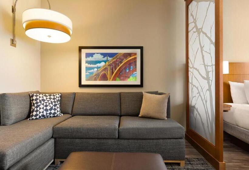 Стандартный Номер Кровать Кинг, Hyatt Place Columbia/downtown/the Vista
