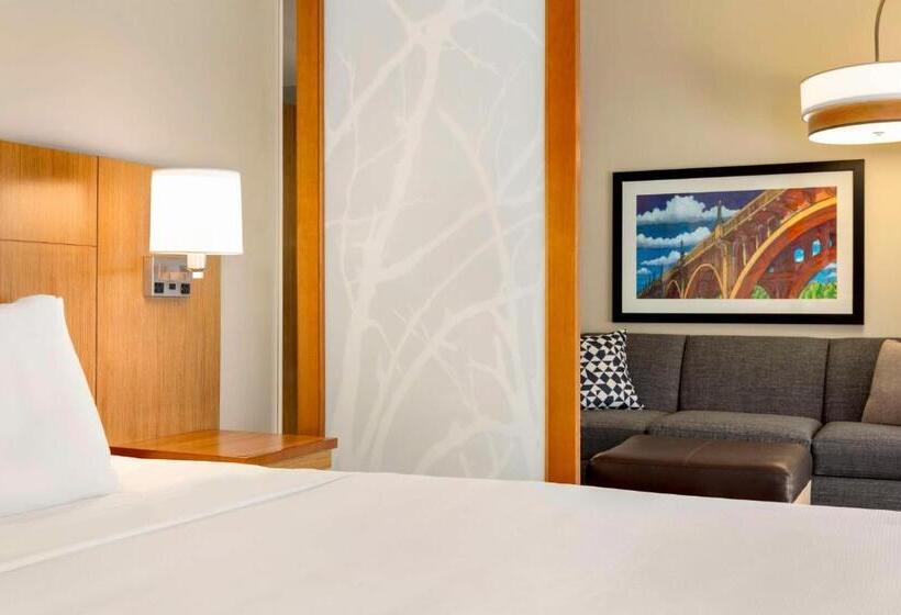 Студио Стандарт Кровать Кинг, Hyatt Place Columbia/downtown/the Vista