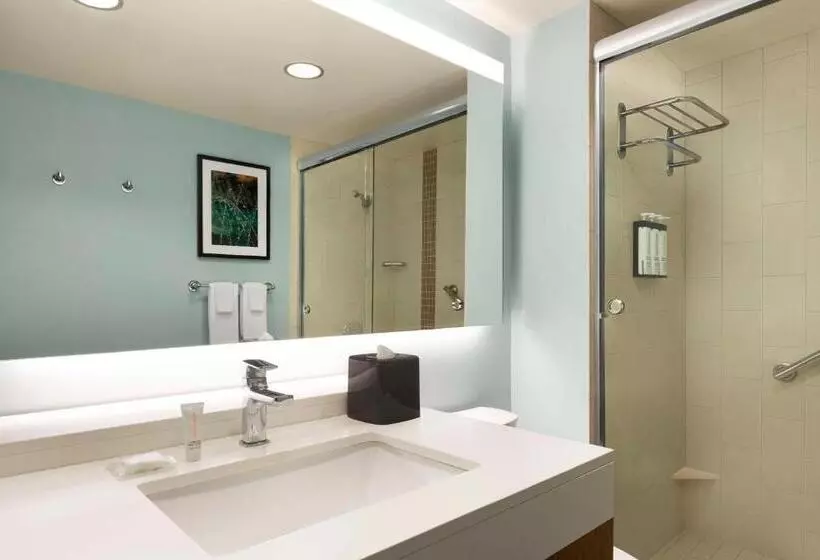 身障者適用スイートルーム, Hyatt Place Columbia/downtown/the Vista