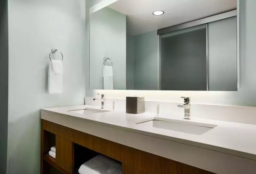 スイート, Hyatt Place Columbia/downtown/the Vista