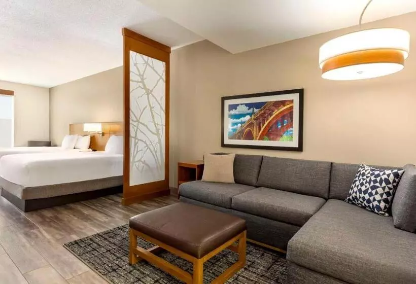 スイート, Hyatt Place Columbia/downtown/the Vista