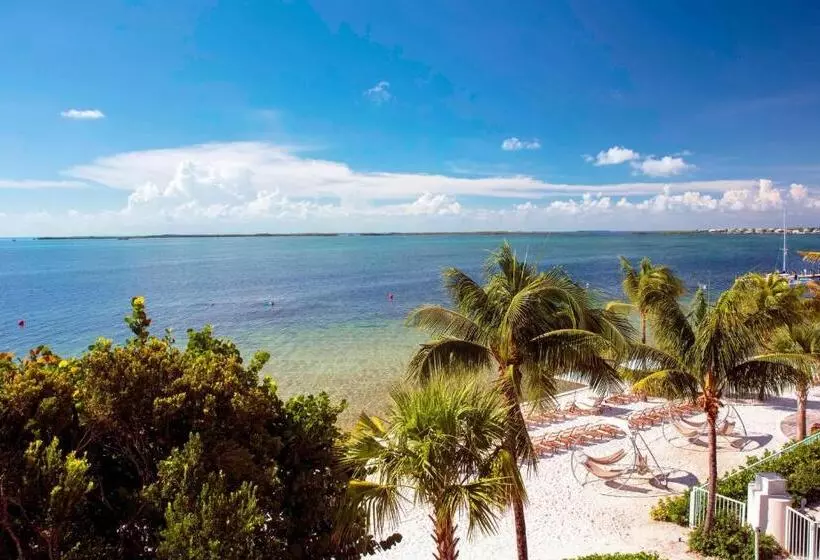 キングサイズベッドのスイートルーム, Playa Largo Resort & Spa, Autograph Collection