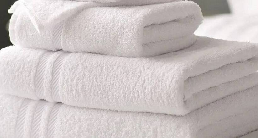 غرفة قياسية, Quality Inn Needles