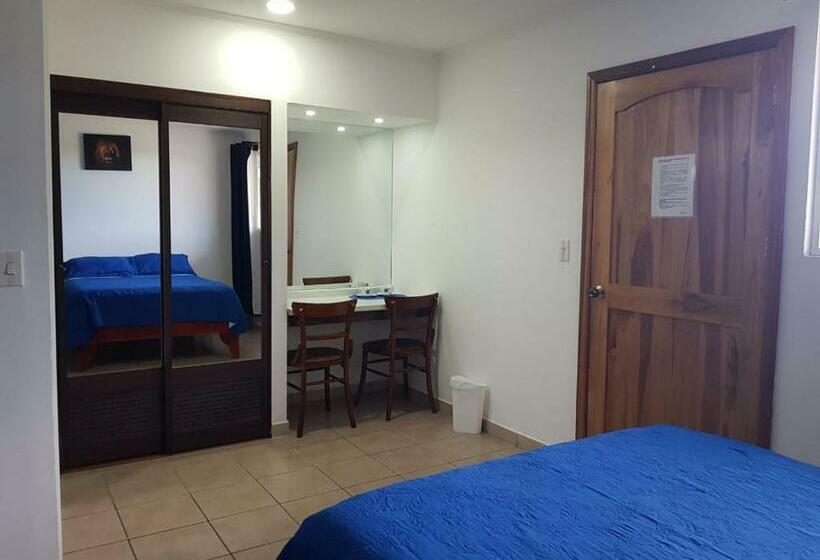 标准三人间, Grosseto Palma Real