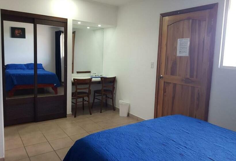 标准三人间, Grosseto Palma Real