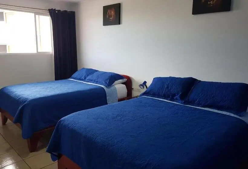 スタンダード４人部屋, Grosseto Palma Real