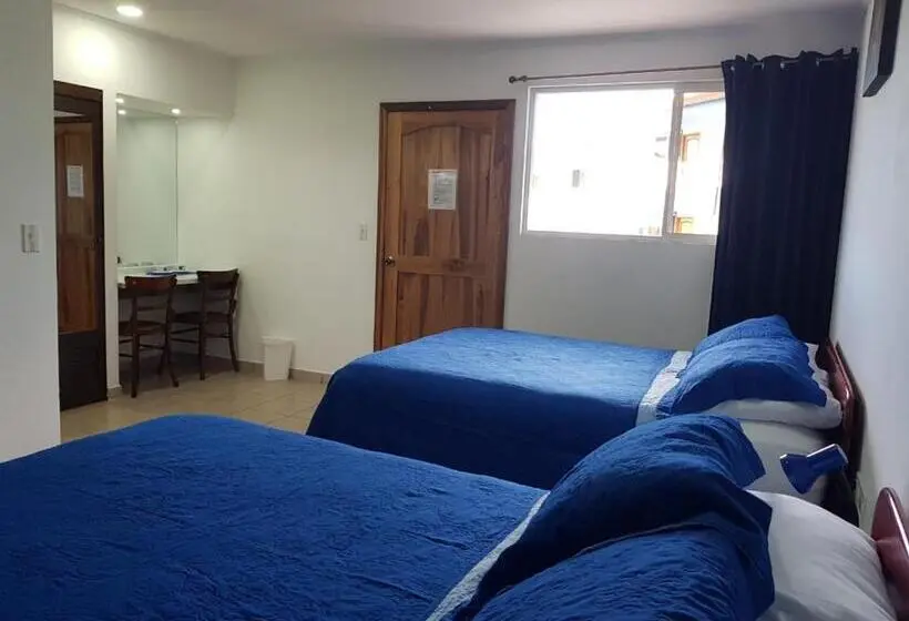 スタンダード４人部屋, Grosseto Palma Real