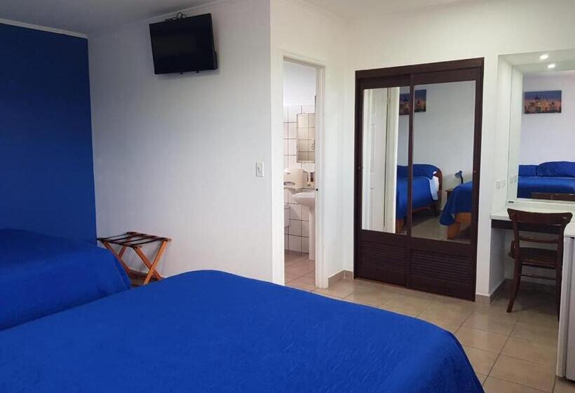 四人标准间, Grosseto Palma Real