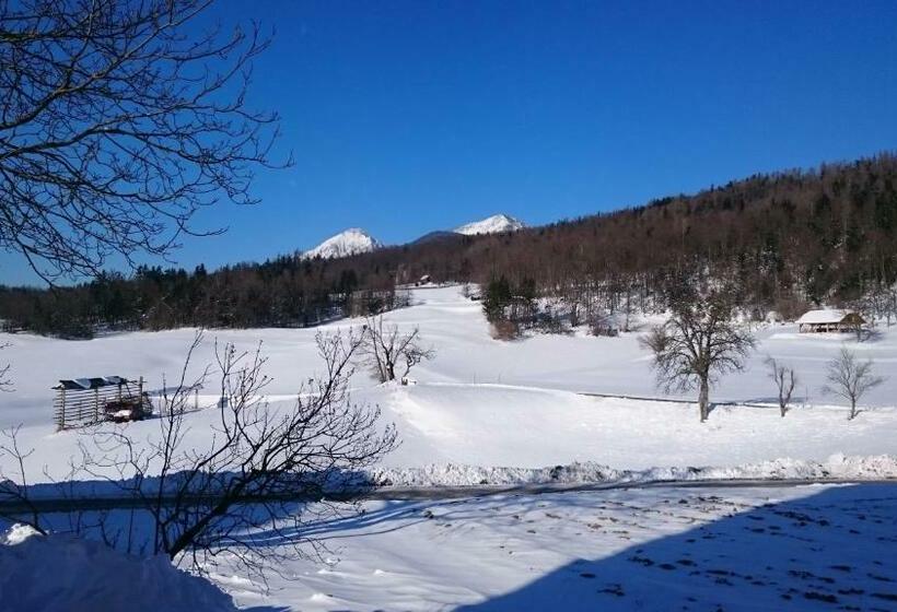 آپارتمان 1 خوابه با چشمانداز, Apartment Vrtacnik