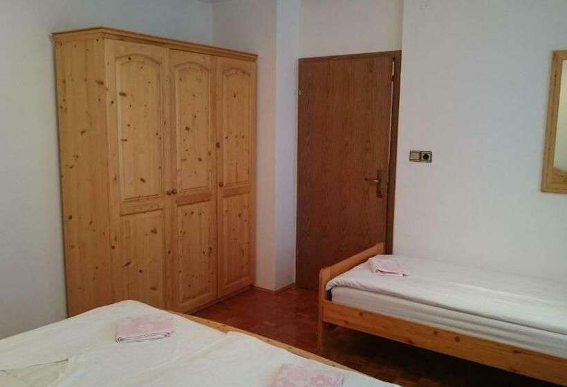 آپارتمان 1 خوابه با چشمانداز, Apartment Vrtacnik