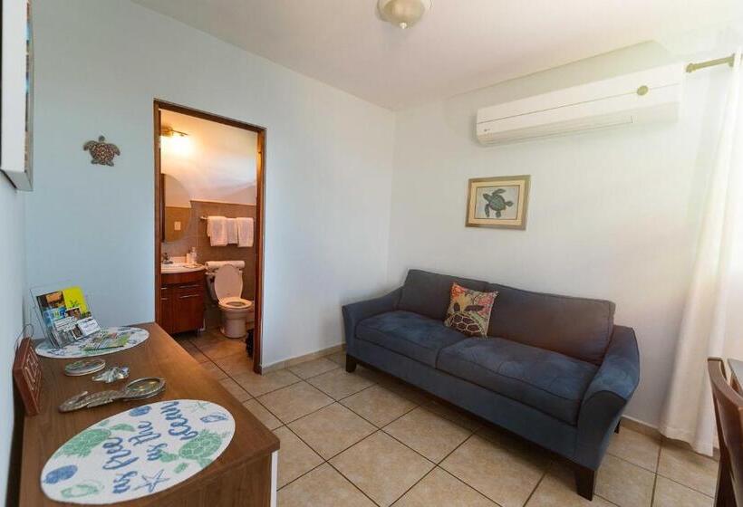 اتاق استاندارد چهار تخته با چشمانداز دریا, Island Charm Culebra Studios & Suites Amazing Water Views From All 3 Apartments Located In Culebra