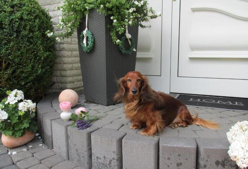 اتاق استاندارد با بالکن, Pension Roseneck