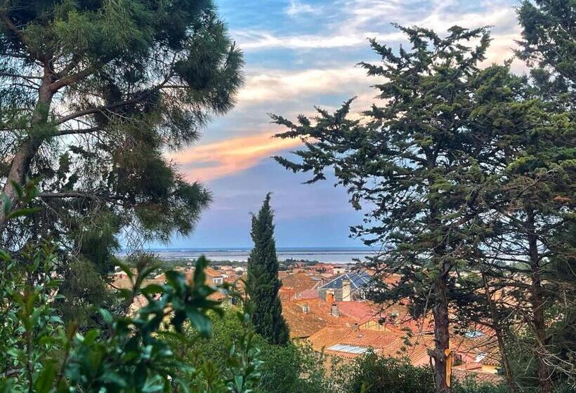 Номер Стандарт с Террасой, Bed & Diner Les Terrasses De La Palme