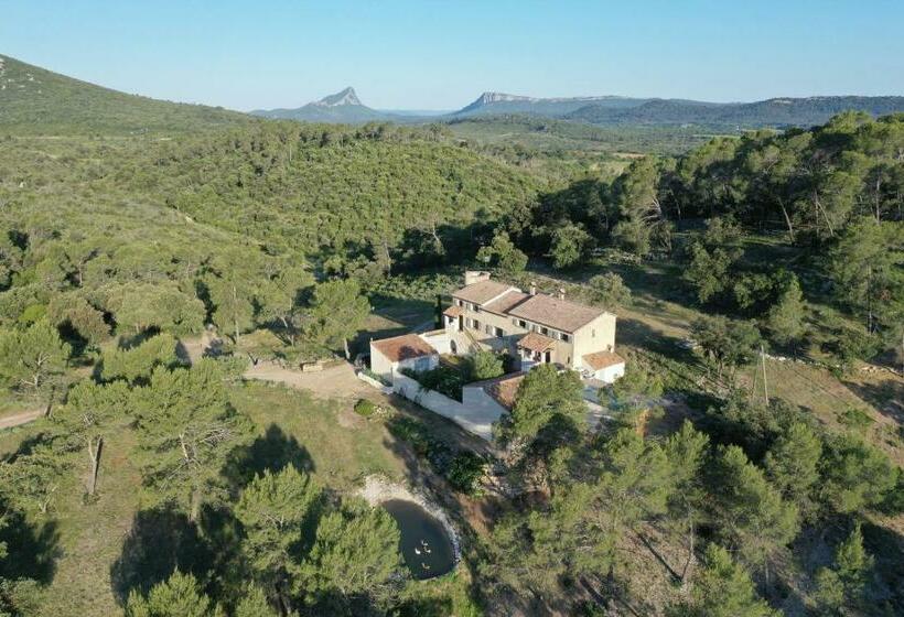 غرفة قياسية مطلّة علي الحديقة, Mas Serre Plume