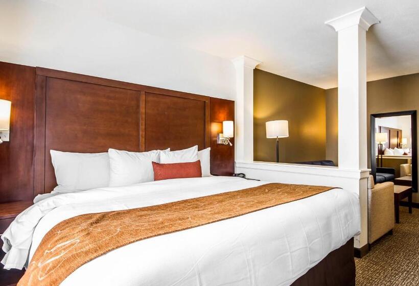 带大床的套房, Comfort Suites Woodland  Sacramento Airport