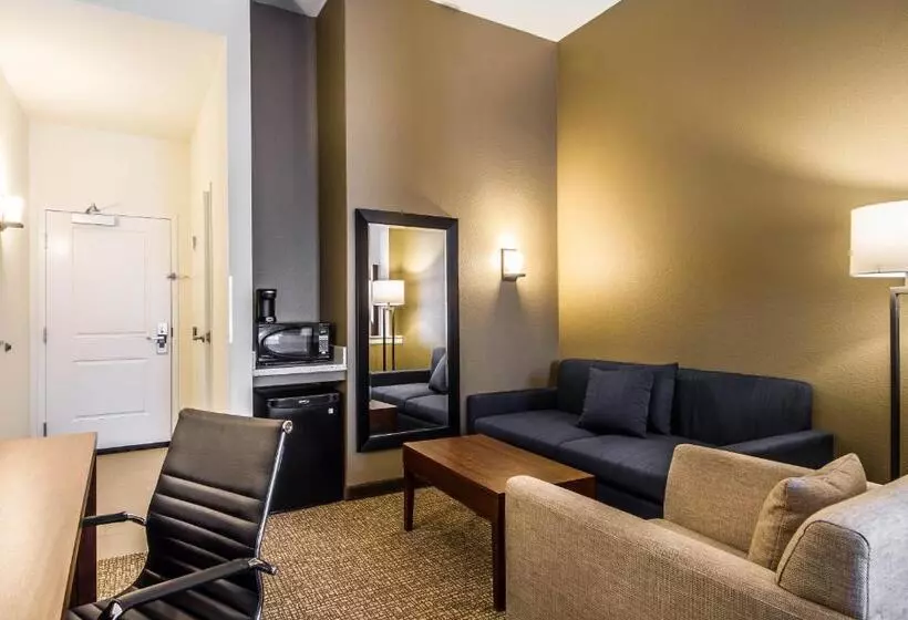 ２ダブルベッドのスタンダードルーム, Comfort Suites Woodland  Sacramento Airport