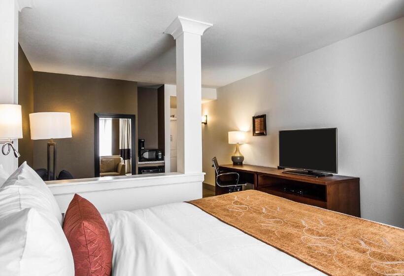 适合残疾人士使用的套间, Comfort Suites Woodland  Sacramento Airport